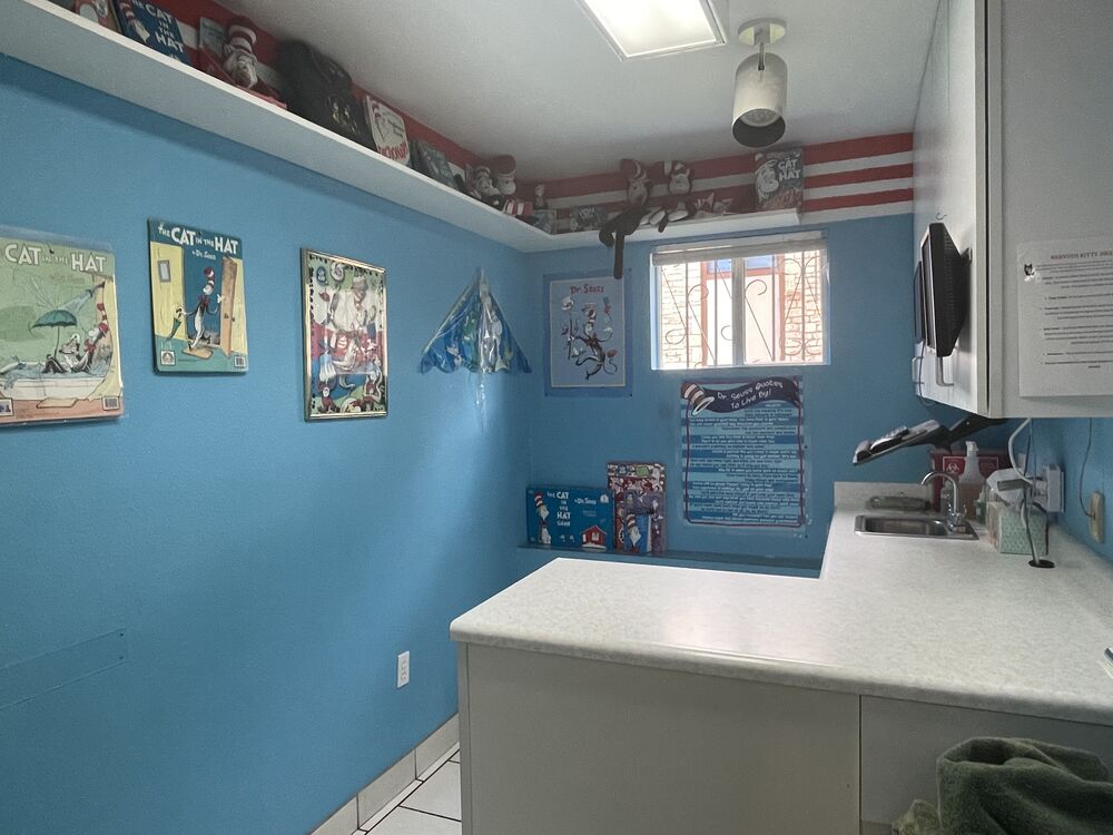 Cat in the hat exam room