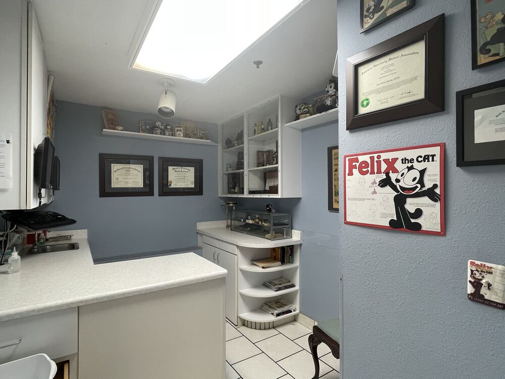 Felix exam room